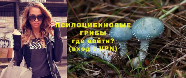 первитин Алексин
