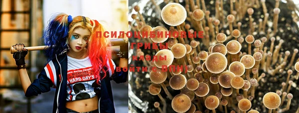 молекула духа Алзамай