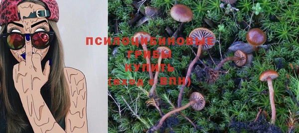 молекула духа Алзамай